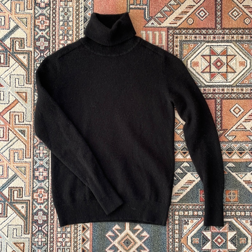 Everlane 100% Cashmere turtleneck